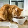 Pet Nova Cat Bowl Gray 1L + 0.28L Image 2
