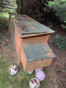 chicken coup