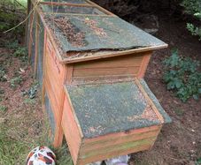 chicken coup