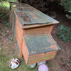 chicken coup
