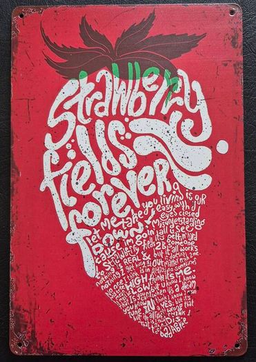 The beatles , vintage style metal sign .