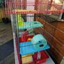 Hamster cage Image 2