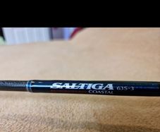Daiwa Saltiga Coastal 63S-3