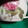 Teapot Image 3