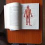 book Image 5
