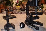 Vintage microscope - Medical Academy Gdansk
