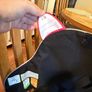 trunki boostapak Image 8
