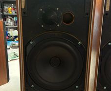 Goodmans Mezzo SL Speakers