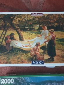 Jig saw puzzles (2)