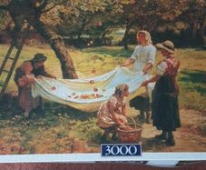 Jig saw puzzles (2)