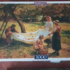 Jig saw puzzles (2)