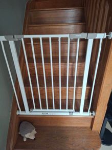 Stairs Gate