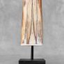 Swordfish tusk. Image 6