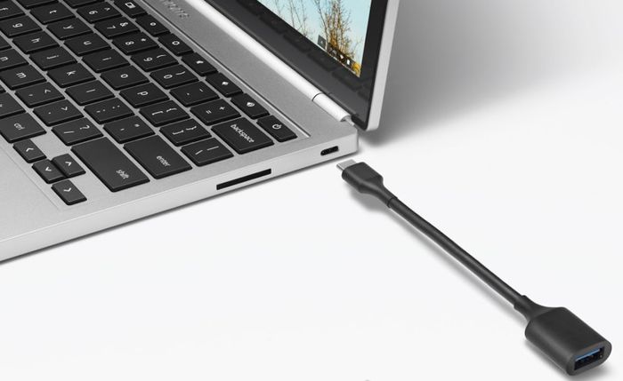 Google USB Type-C to USB Standard-A Adapter
