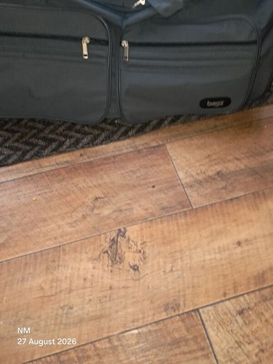 suitcase