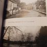 My Countryside / My Cradle/ Paddy Tighe/ 2010 Image 8