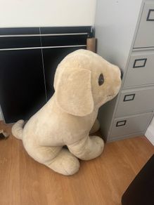 large teddy