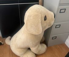 large teddy