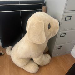 large teddy