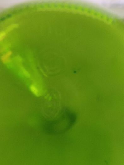 Unique Shaped Green Glass Bottle  Great Condition, No Chips or Crack, Green Wine Bottle,