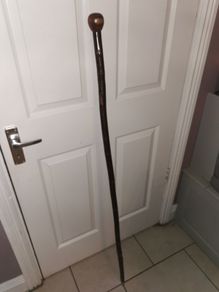 wading/walking stick