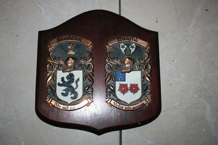 2 Personalized Double Irish Coat of Arms Knight Shield Plaque