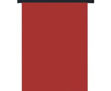 Balcony Side Awning 125x250 cm Red