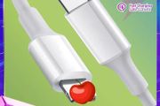 usb type c to lightning cable for iPhones