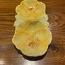 Beswick  Pansy dish Image 6
