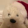 White Christmas teddy Image 3