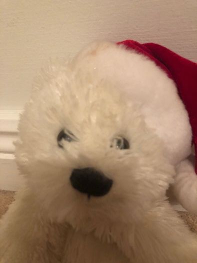 White Christmas teddy