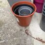 plant pots Image 3