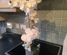 artificial plant
