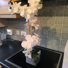 artificial plant