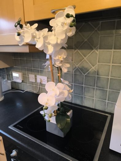 artificial plant