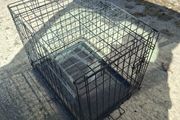 dog cage