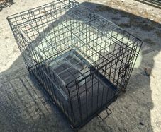 dog cage