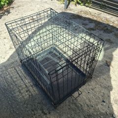dog cage