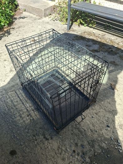 dog cage