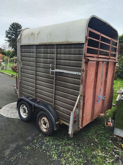 horse box open to offers sound box double treated floor no rot this box has perfect Strong sides will do cattle either make brilliant coffee box