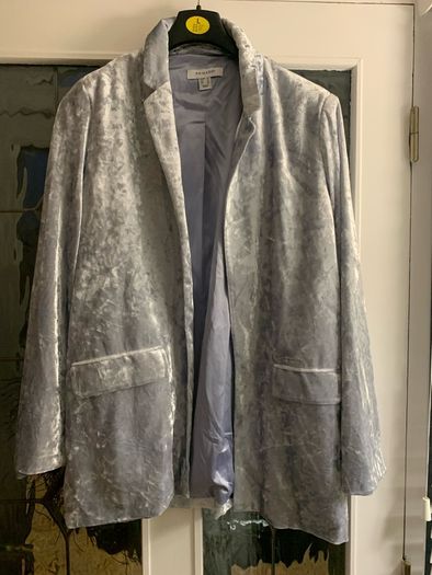 Silver crushed velvet blazer