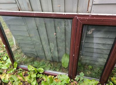 window