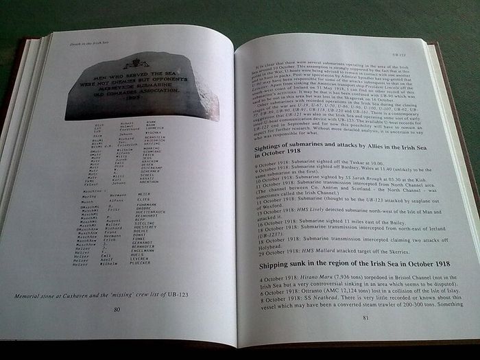 Death in the Irish Sea The sinking of the RMS Leinster