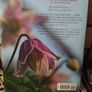 Helen Dillon / 1st Edition/ 2007 Image 3