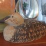Stunning and Rare Vintage Kilkenny Design Workshops Eider Duck Hand-Painted Ceramic Model by Oisin Kelly RHA (1915-1981), Excellent Condition Image 10