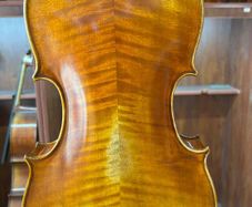 viola
