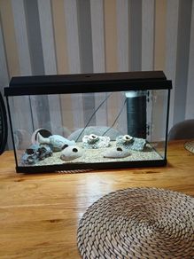 Fish tank for sale