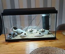 Fish tank for sale