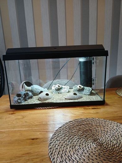 Fish tank for sale