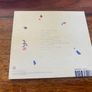 David Kitt Not Fade Away CD Image 2